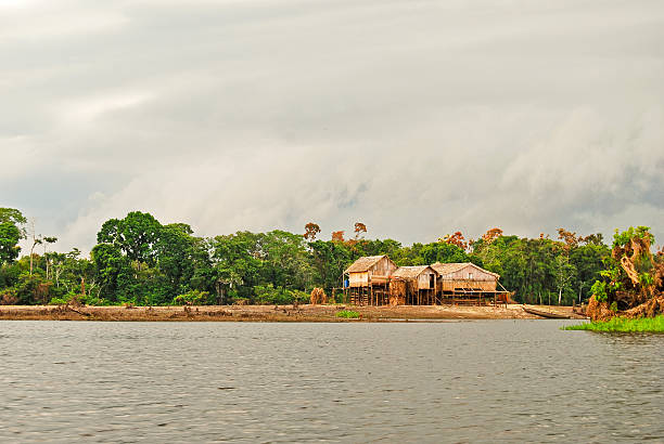 istock Amazon rainforest: Along the Amazon River near Manaus, Brazil 474172522
