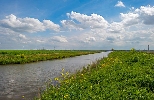 istock Wild flowers along a sunny canal in spring 474173122