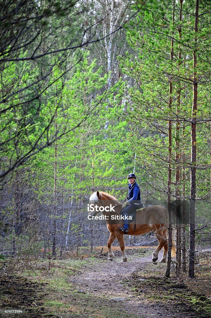 Riding in forest Woman horseback riding in forest path 2015 Stock Photo