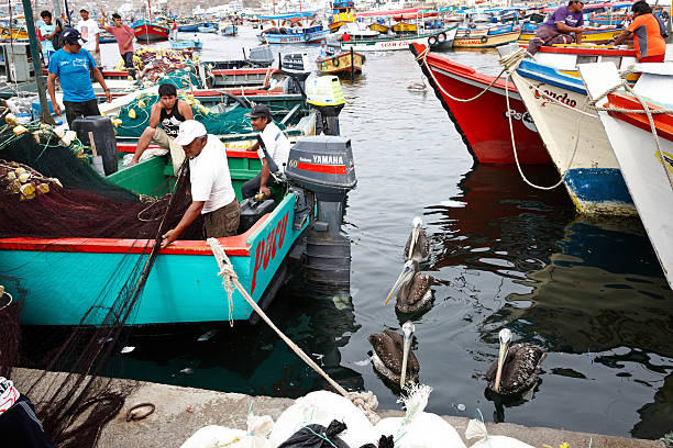 A number of pelicans sitting aboard a blue fishing boat in the ocean.
