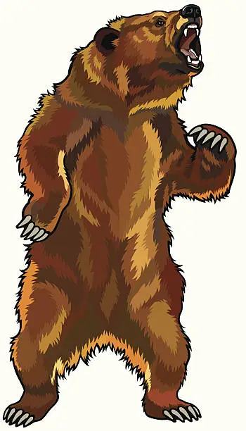 Vector illustration of angry grizzly bear