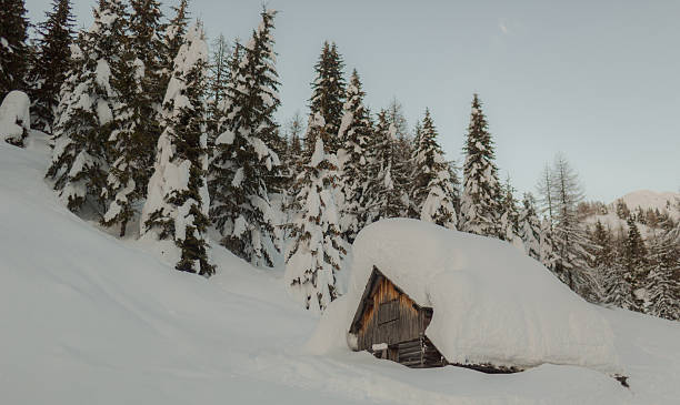 istock Mountain hut submerged by snow with trees 474177429
