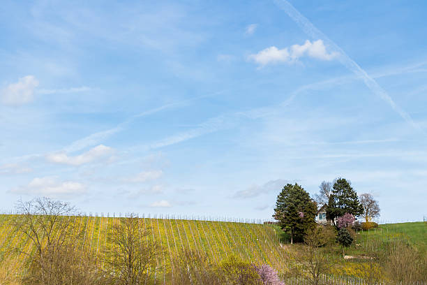 Monte Mousel 20+ Mousel Stock Photos, Pictures & Royalty-Free Images - iStock