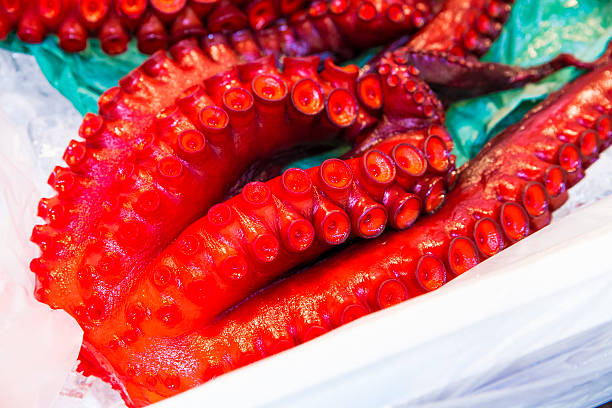 istock Red octopus on ice in styrofoam box 474179696