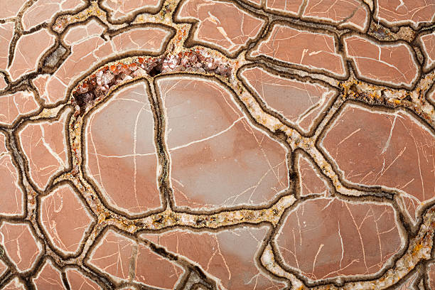 Septaria Limestone 80+ Septaria Stock Photos, Pictures & Royalty-Free Images - iStock