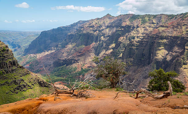 waimea kanion kauai, hawaje - kauai tropical climate green travel destinations zdjęcia i obrazy z banku zdjęć