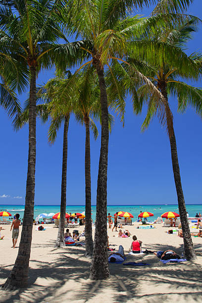 istock Waikiki Beach, Honolulu, Oahu, Hawaii 474184502