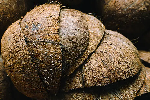 Photo of Pile of discarded coconut husks