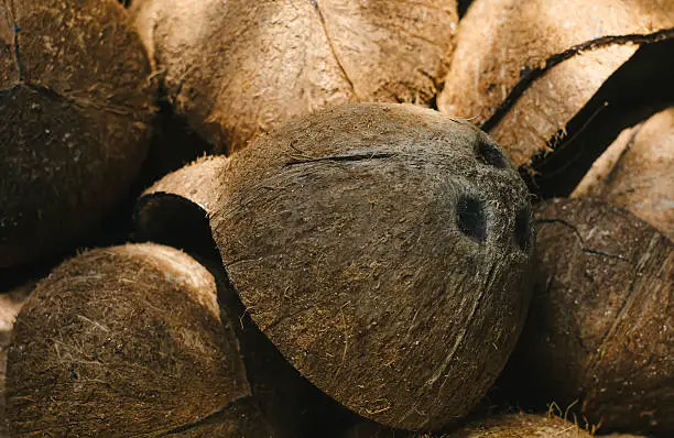 Photo of Pile of discarded coconut husks