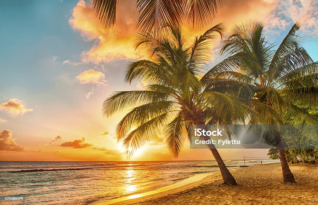 Barbados Beautiful sunset over the sea with a view at palms on the white beach on a Caribbean island of Barbados Beach Stock Photo