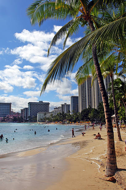 istock Waikiki Beach, Honolulu, Oahu, Hawaii 474185544