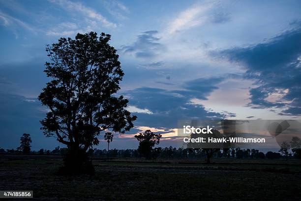 Tree Silhouette Beautiful Sunsets And Sunrises Stock Photo - Download Image Now - 2015, Asia, Beach
