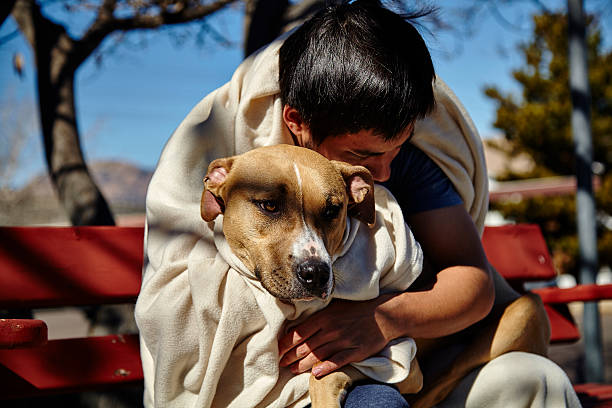 istock Man Sitting on Bench with Dog 474187424