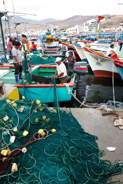 Pucusana, Peru - January 20, 2015: Fishermen at work in Peruvian coastal village at Pucusana. Men are on their boat in the harbour folding their trawling nets