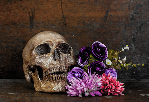 istock Still life skull and flower 474194460