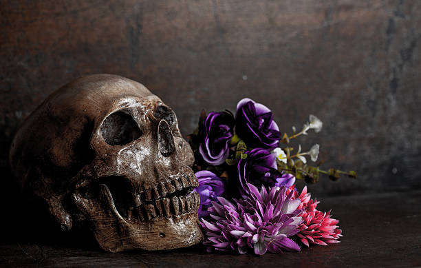istock Still life skull and flower 474194484