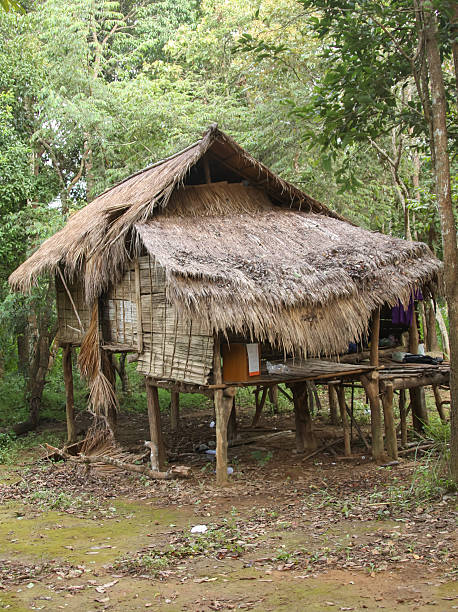 istock Farmer's cabin in the woods 474194717
