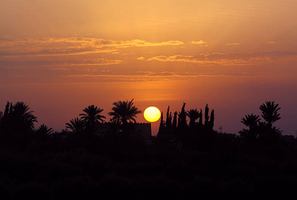 Morocco, Marrakesh, Silhouette of an oasis and palm trees at sunset.