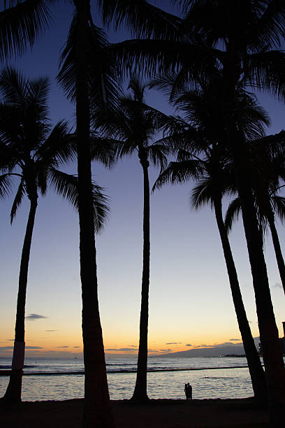 istock Waikiki Beach, Honolulu, Oahu, Hawaii 474198362
