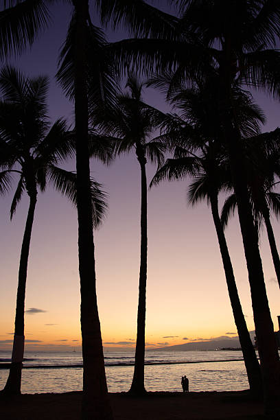 istock Waikiki Beach, Honolulu, Oahu, Hawaii 474198366