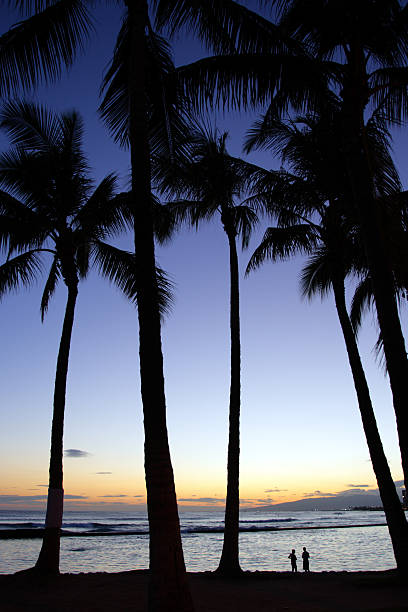 istock Waikiki Beach, Honolulu, Oahu, Hawaii 474198368