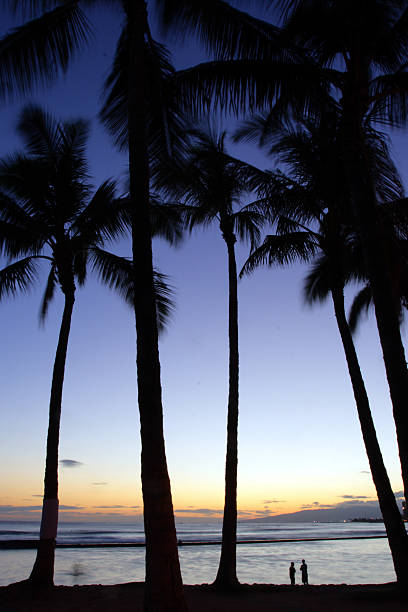 istock Waikiki Beach, Honolulu, Oahu, Hawaii 474198370