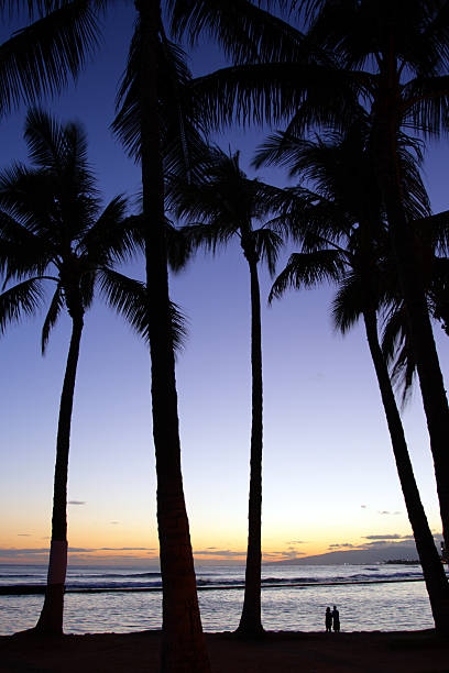 istock Waikiki Beach, Honolulu, Oahu, Hawaii 474198372