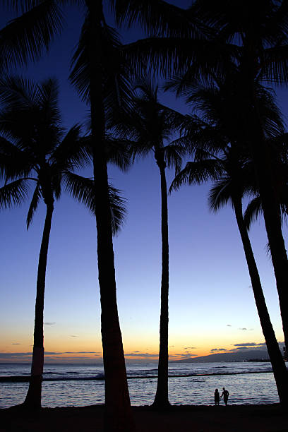 istock Waikiki Beach, Honolulu, Oahu, Hawaii 474198376