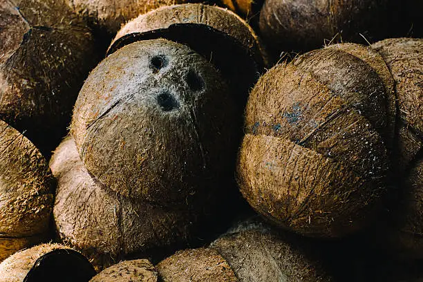 Photo of Pile of discarded coconut husks