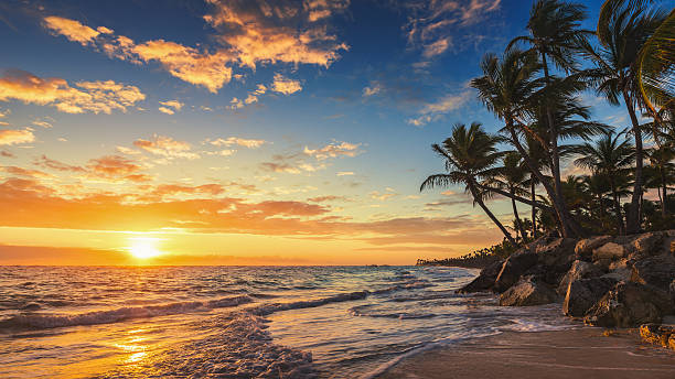 istock Landscape of paradise tropical island beach 474199464