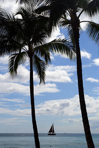 Stock image of Waikiki Beach, Honolulu, Oahu, Hawaii