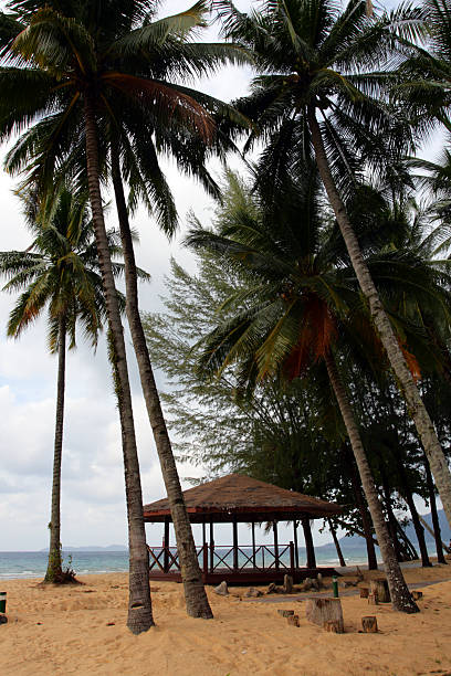 istock Tioman island, Malaysia 474199998