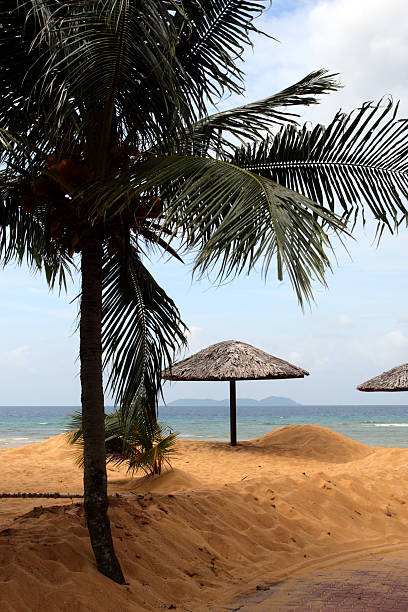 istock Tioman island, Malaysia 474200002