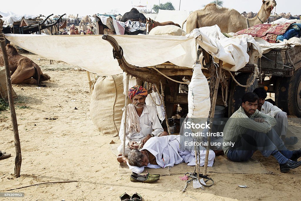 Верблюд коз сидя в тени at Pushkar - Стоковые фото Аборигенная культура роялти-фри
