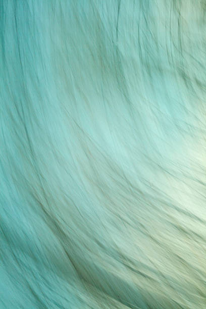istock blurred motion in nature gives a harmonic background 474206522
