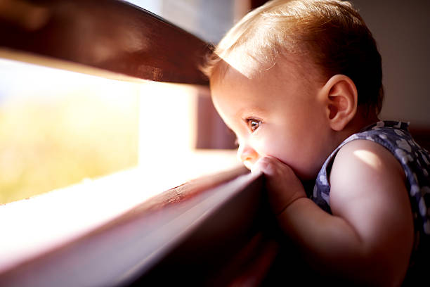 Watching all the birdies in the garden Closeup shot of an adorable baby girl looking through a windowhttp://195.154.178.81/DATA/i_collage/pu/shoots/804650.jpg little redhead girl stock pictures, royalty-free photos & images