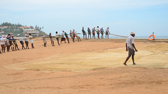 Kovalam, India – April  11, 2015. Traditional fishermen are pulling the seine (fishing net) from the sea in the beach of Kovalam.