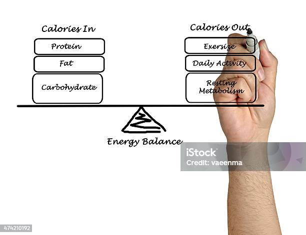 Balance Between Energy Intake And Energy Expenditure Stock Photo - Download Image Now