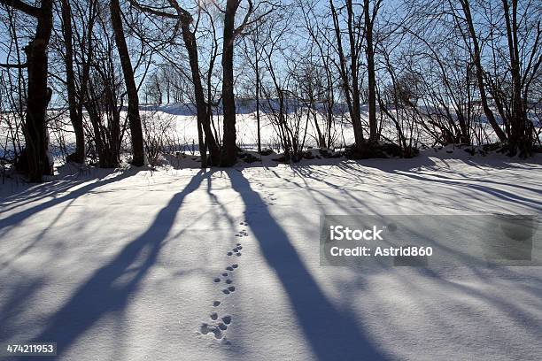 Im Winter Stockfoto und mehr Bilder von Abschied - Abschied, Allgäu, Alpen