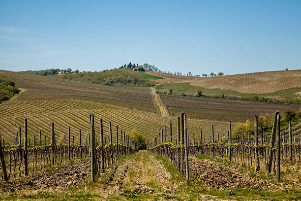 istock Chianti Region Tuscany Italy 474213068