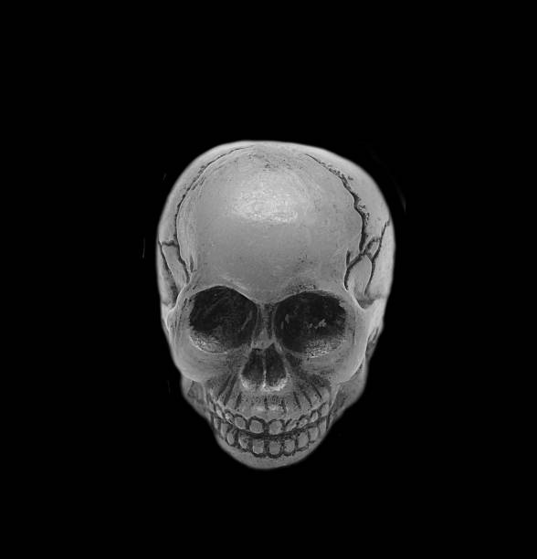 istock skull, black and white, black background 474213303