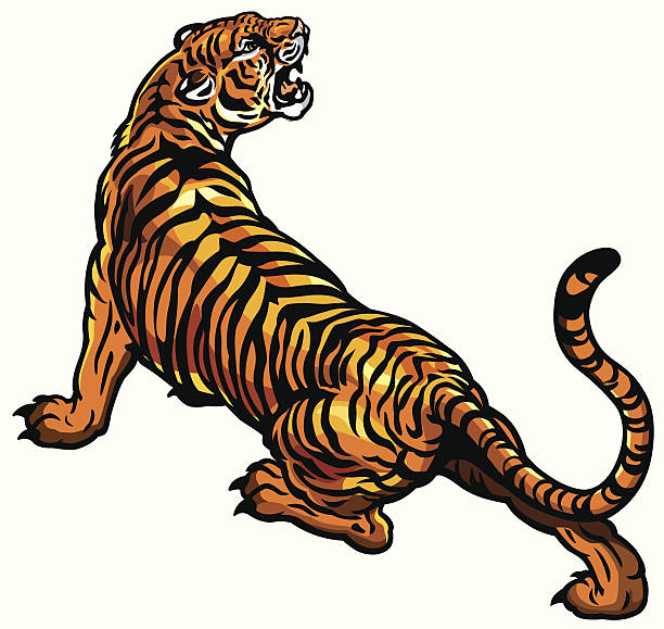 illustrazioni stock, clip art, cartoni animati e icone di tendenza di arrabbiato tigre - tiger roaring danger power