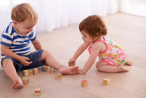 Shot of a baby brother and sister playing together with blocks on the living room floorhttp://195.154.178.81/DATA/i_collage/pu/shoots/804665.jpg