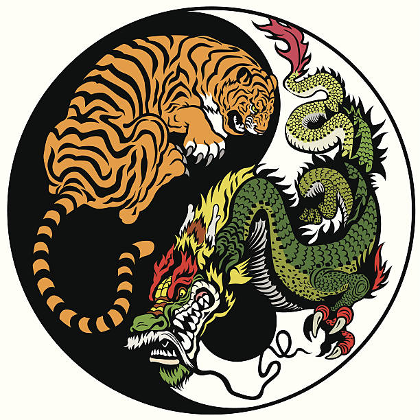 dragon and tiger yin yang symbol dragon and tiger yin yang symbol of harmony and balance  .Image isolated on white background allegory painting stock illustrations
