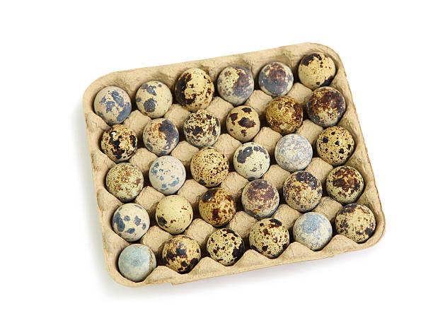 istock quail eggs in a carton box isolated on white background 474218148