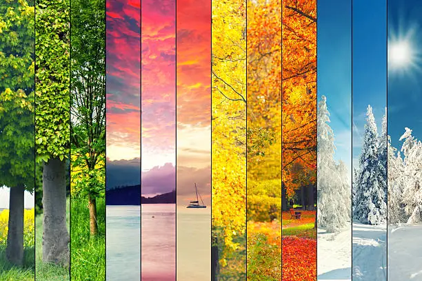 Four seasons collage, several images of beautiful natural landscapes at different time of the year, autumn, winter, spring and summer weather, planet earth life cycle concept
