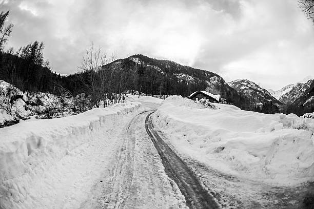 istock Black and white fisheye winter forest landscape 474219853