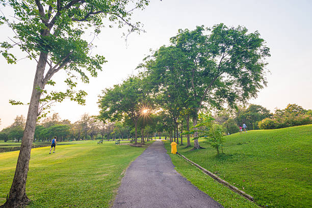 istock Beautiful avenue in to the park. 474221844