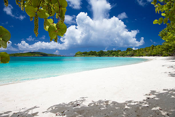 scott beach w caneel bay, st. john, nas, wyspy dziewicze - caneel bay zdjęcia i obrazy z banku zdjęć