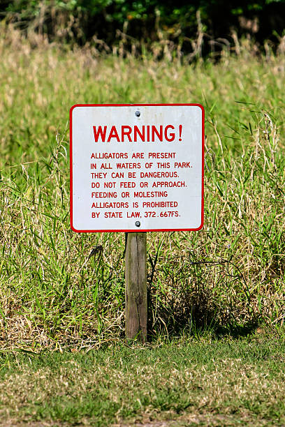 istock Warning - Alligators are Present in these Waters Sign 474222446